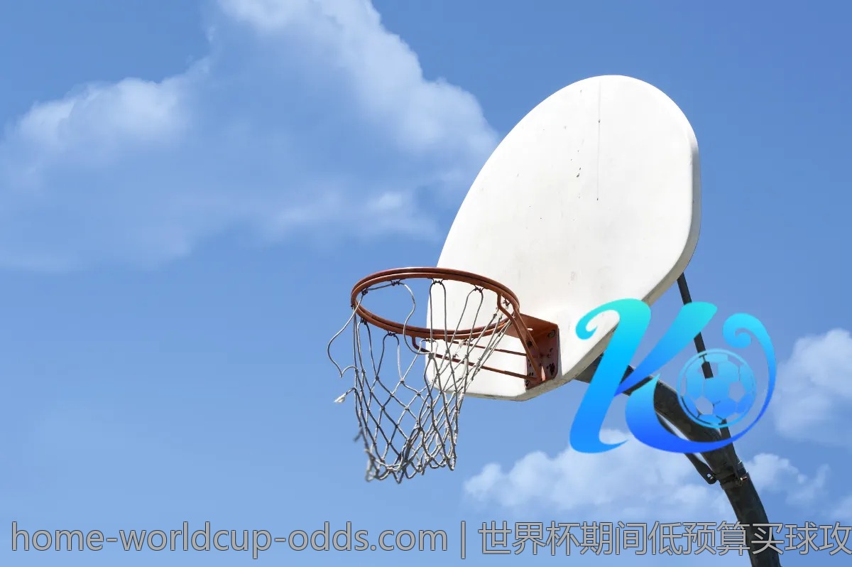 世界杯期间低预算买球攻略，实用技巧分享