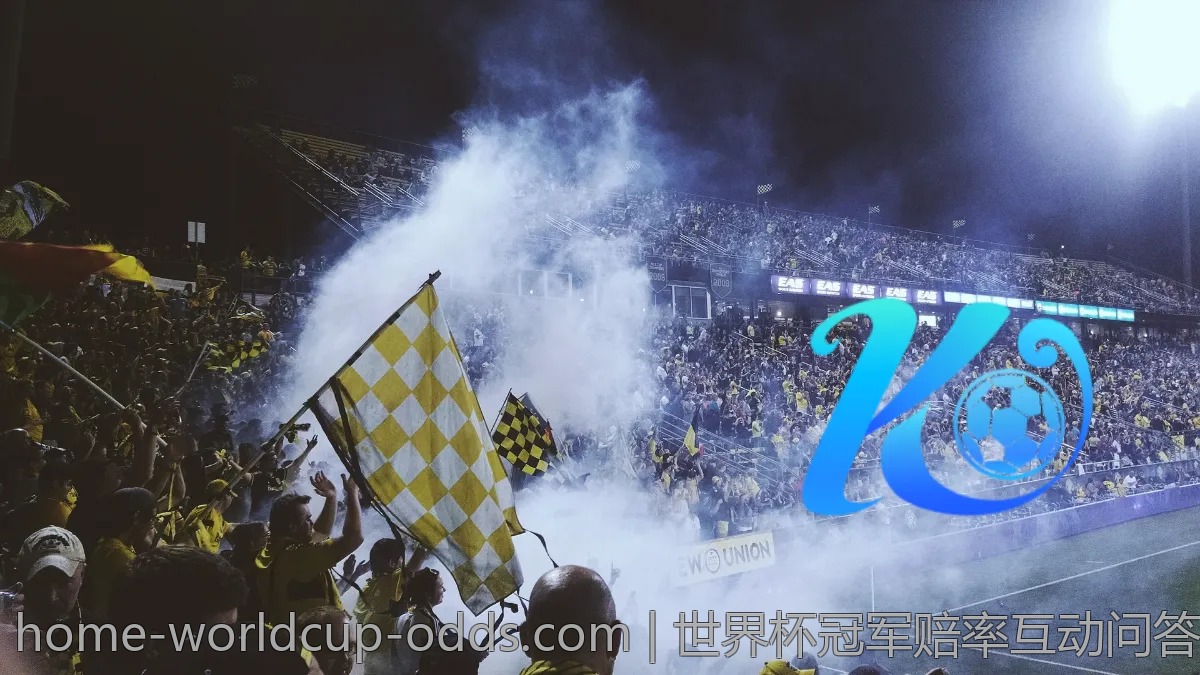 世界杯冠军赔率互动问答，一起来讨论！